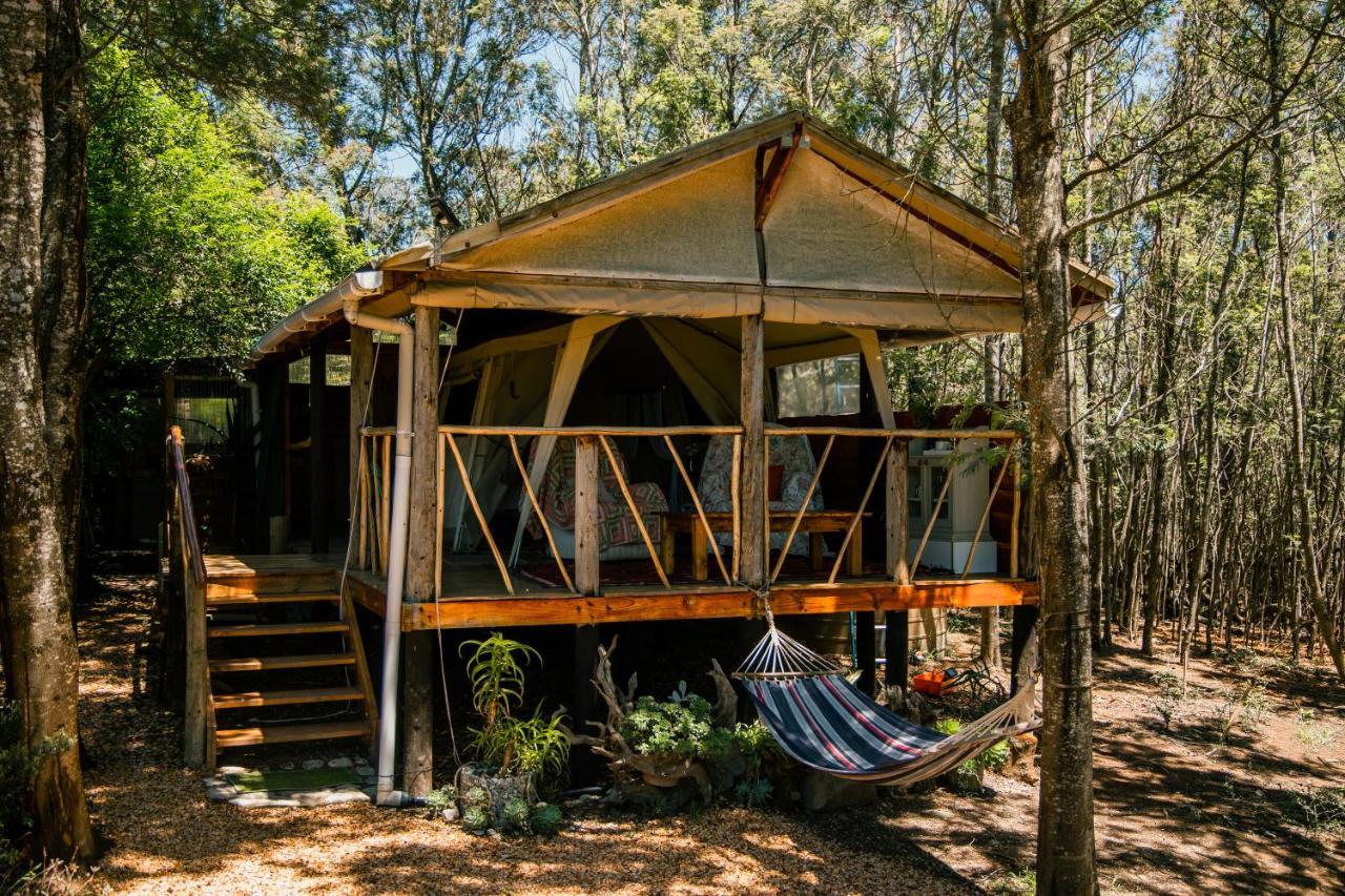 Brackenhills Private Nature Reserve Swellendam Eksteriør billede