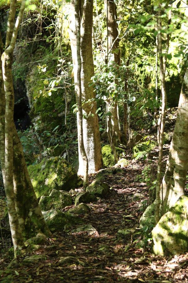 Brackenhills Private Nature Reserve Swellendam Eksteriør billede